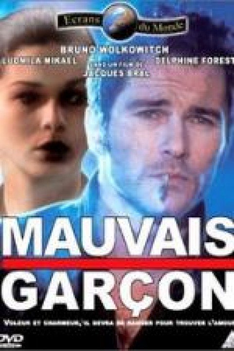 Mauvais garÃ§on poster