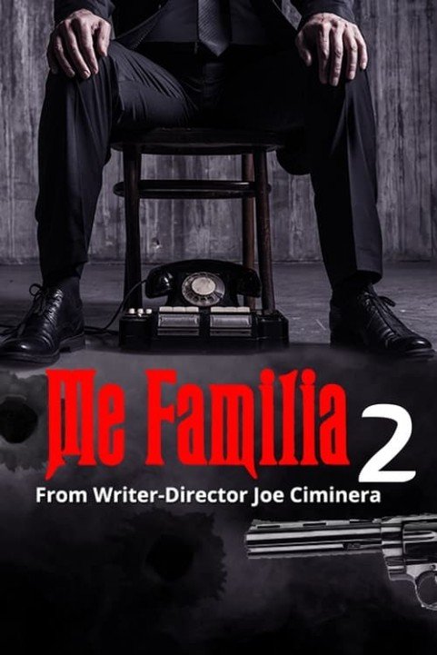 Me Familia 2 poster