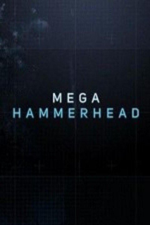 Mega Hammerh poster