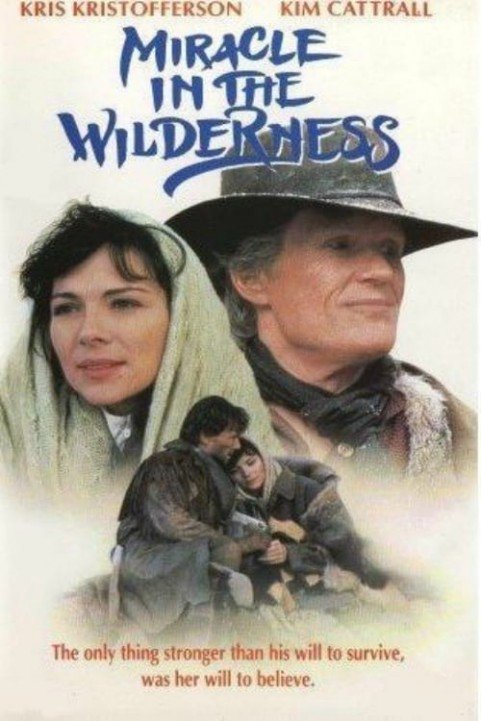 Miracle in the Wilderness poster