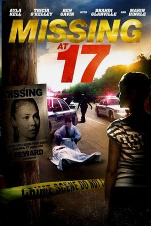 Missing at 1 poster