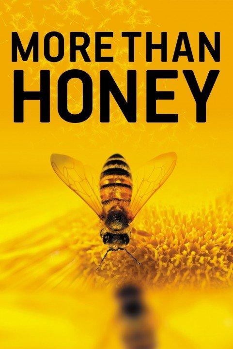 More Than Honey (2012) poster