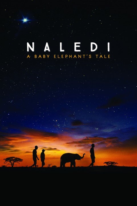 Naledi: A Baby Elephant's Tale (2016) poster