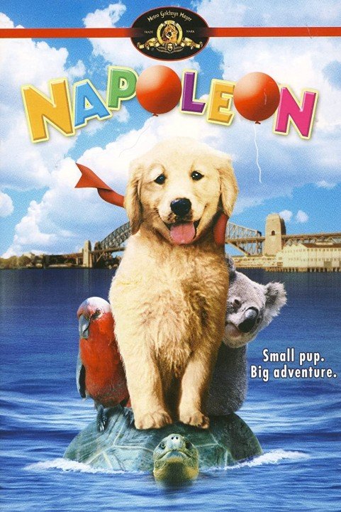 Napoleon (1995) poster