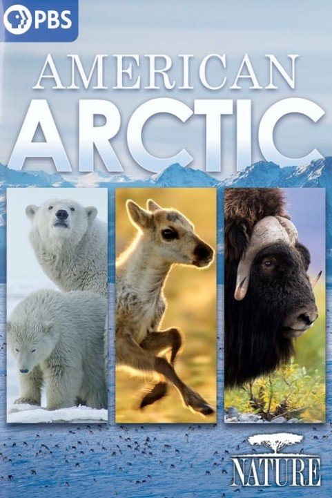 Nature: American Arctic poster