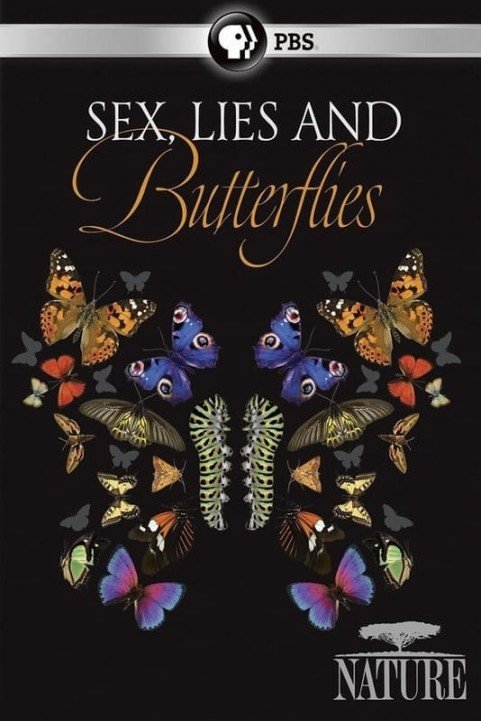 Sex, Lies and Butterflies poster