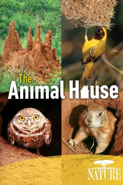 Nature: The Animal House poster