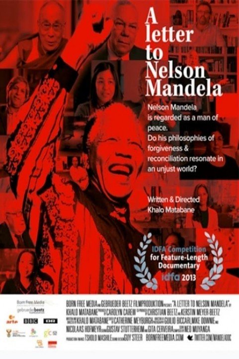 Nelson Mandela: The Myth and Me poster