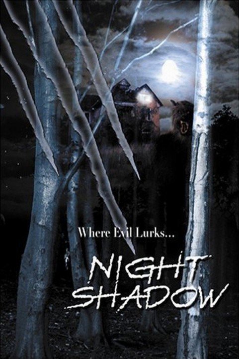 Night Shadow poster