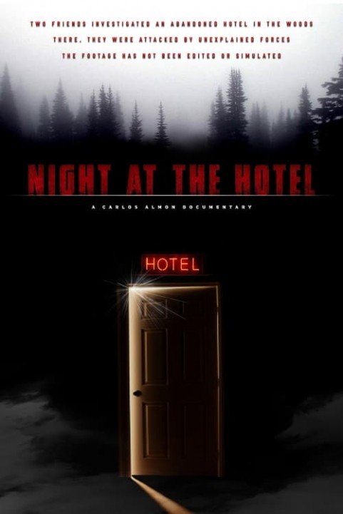 Night at the Hotel poster