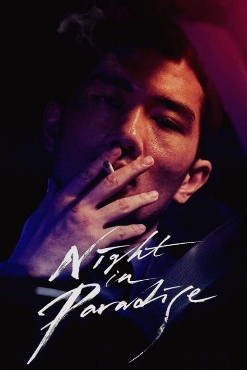 Night in Paradise poster