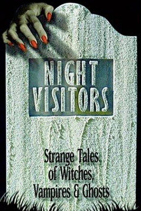 Night Visito poster