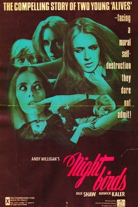 Nightbirds poster