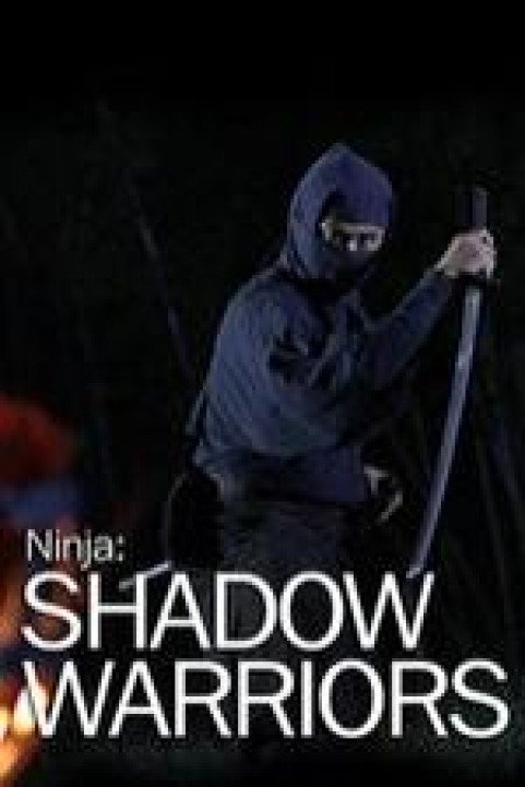 Ninja Shadow Warriors poster