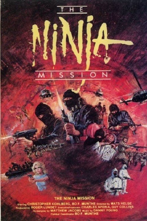 Ninjas Force poster