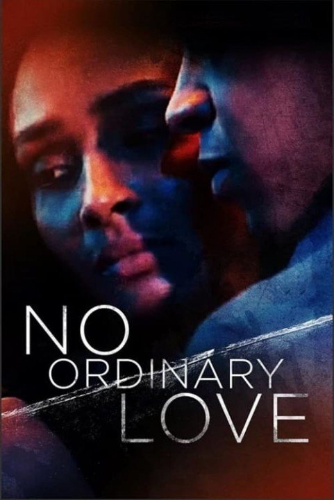 No Ordinary Love poster