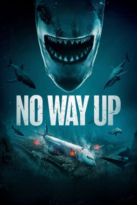 No Way Up poster