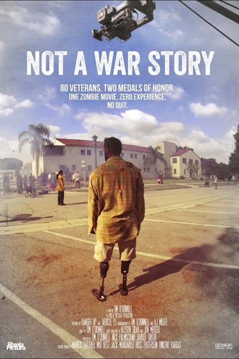 Not a War Story poster