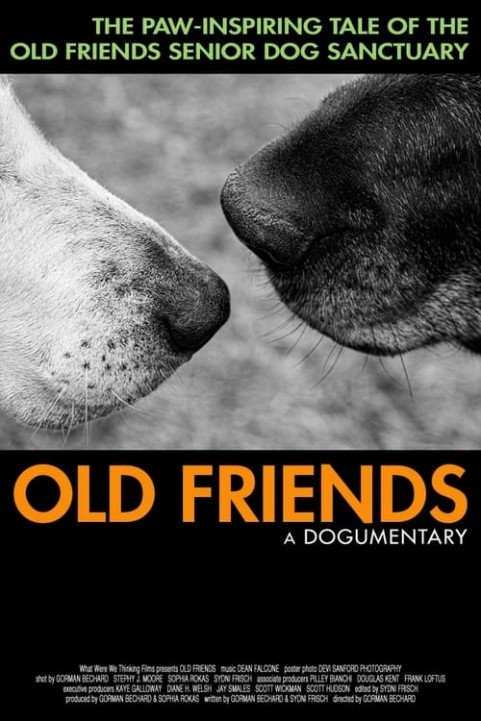 Old Friends: A Dogumentary poster