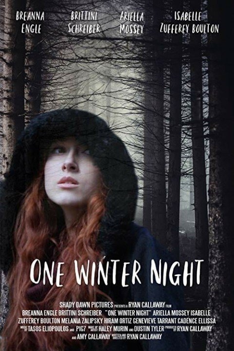 One Winter Night poster