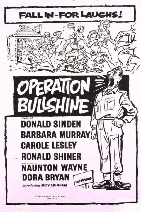 Operation Bullshine poster