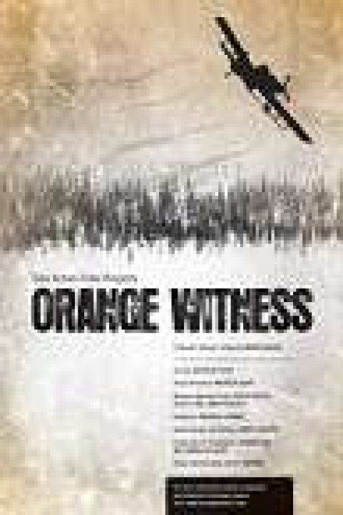 Orange Witness poster