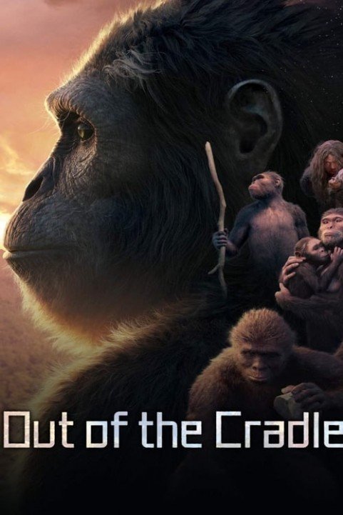 Out of the Cradle poster