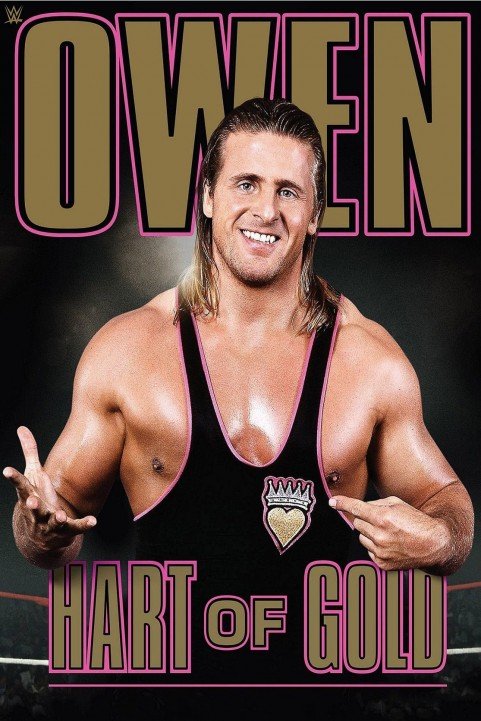 Owen: Hart of Gold poster