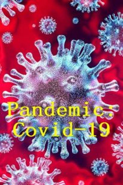 Pandemic: Covid-19 poster