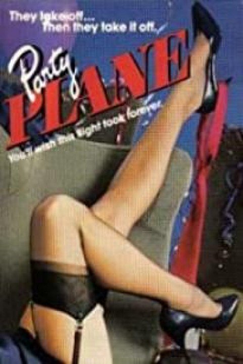 Party Plane poster