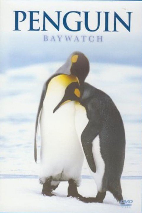 Penguin Baywatch Antarctica poster