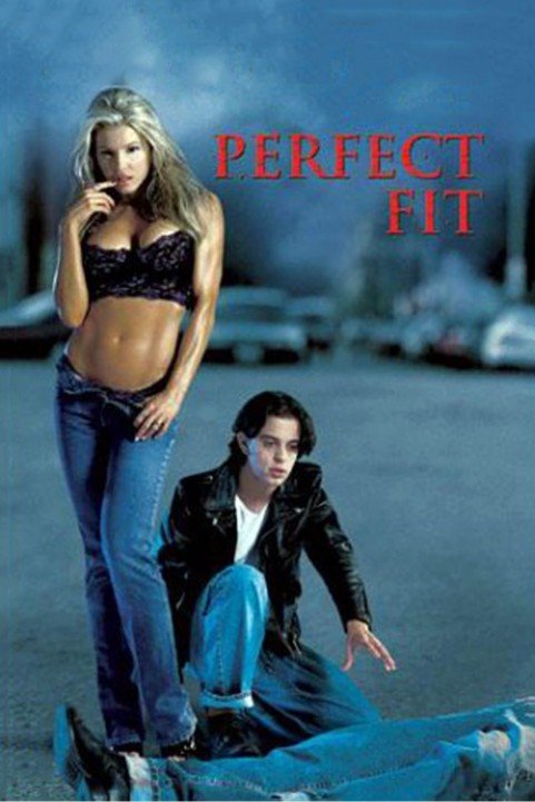 Perfect Fit poster