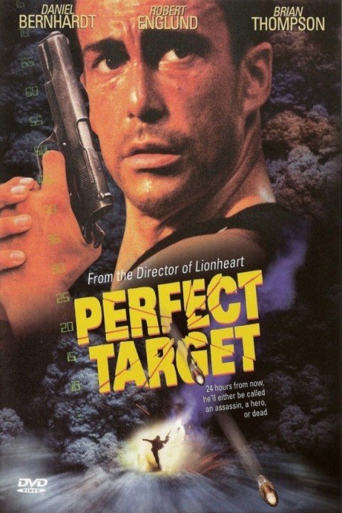 Perfect Target poster