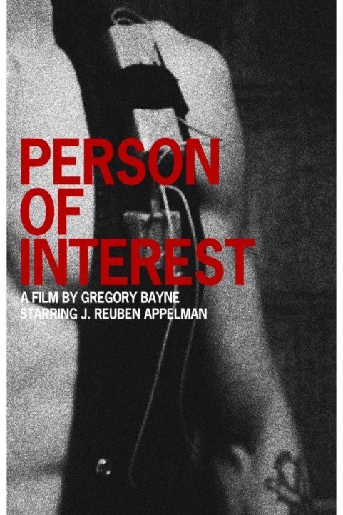 Person of Interest poster