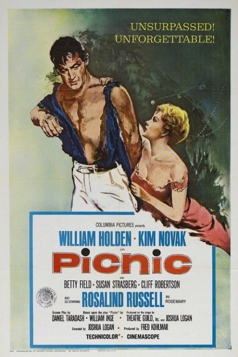 Picnic poster