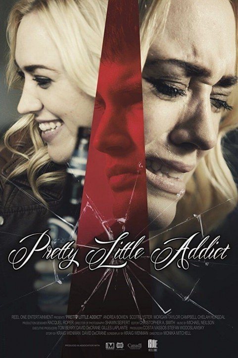 Pretty Little Addict poster