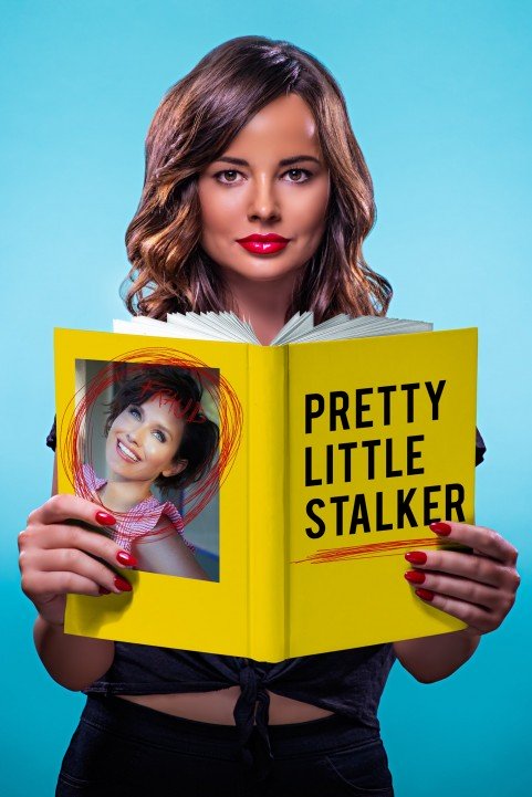 Pretty Little Stalker poster