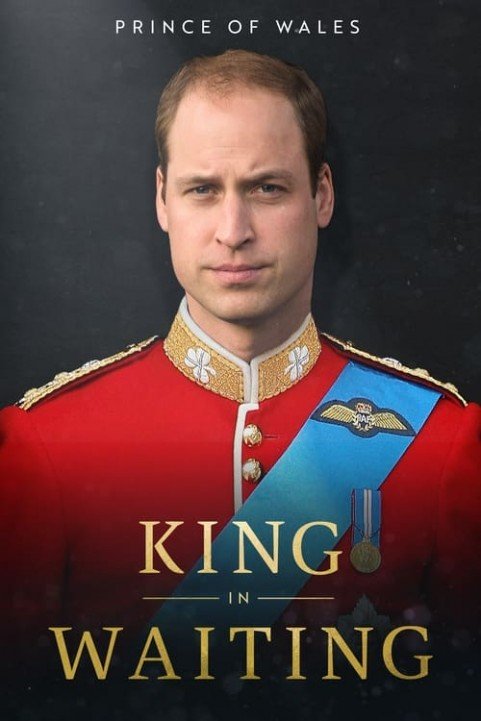 Prince of Wales: King in Waiting poster