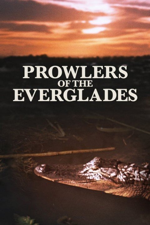 Prowlers of the Everglades poster