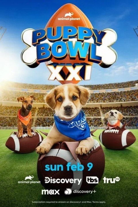 Puppy Bowl XXI poster