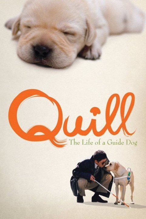 Quill:  The Life of a Guide Dog poster