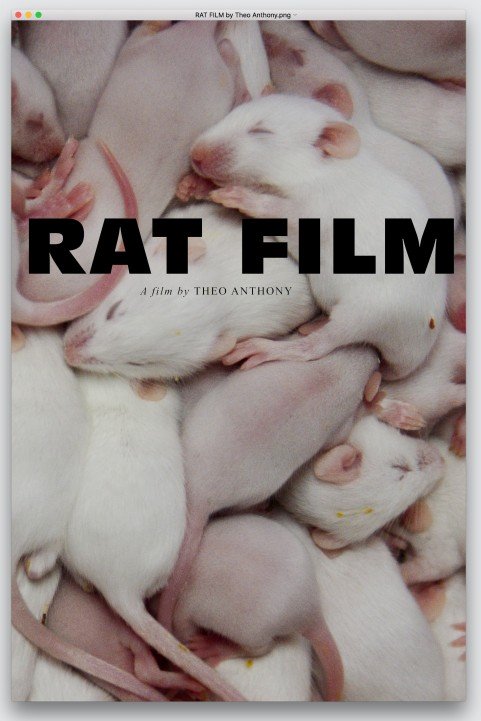 Rat Film poster