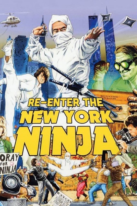 Re-Enter the New York Ninja poster