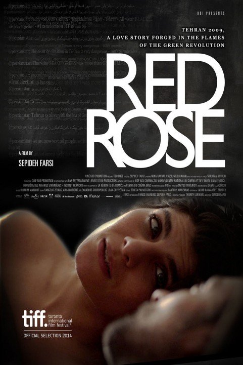 Red Rose poster