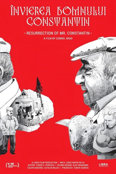 Resurrection of Mr. Constantin poster