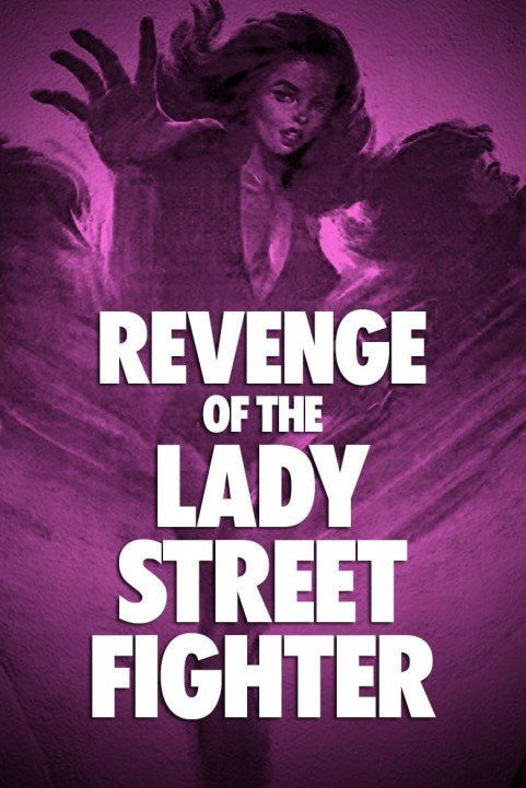 Revenge of Lady Street Fighter poster