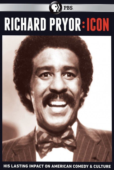 Richard Pryor: Icon poster