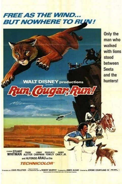 Run, Cougar, Run poster