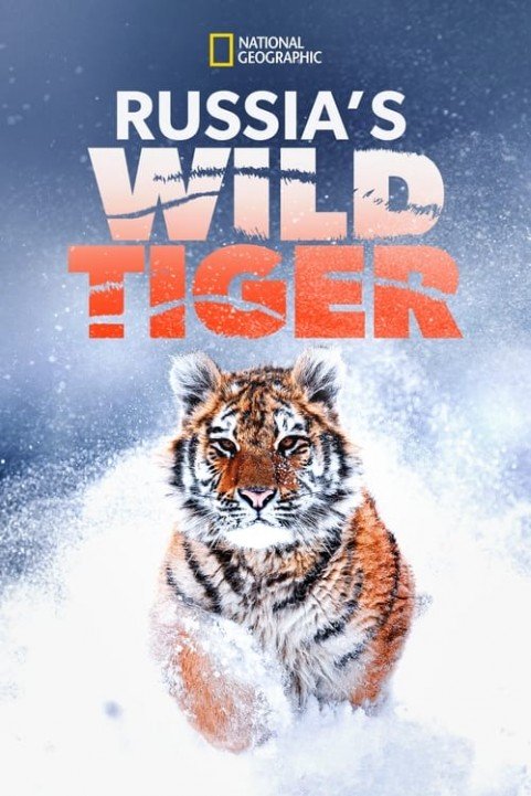 Russia's Wild Tiger poster