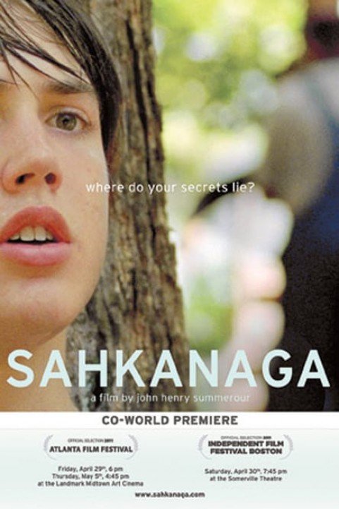 Sahkanaga poster